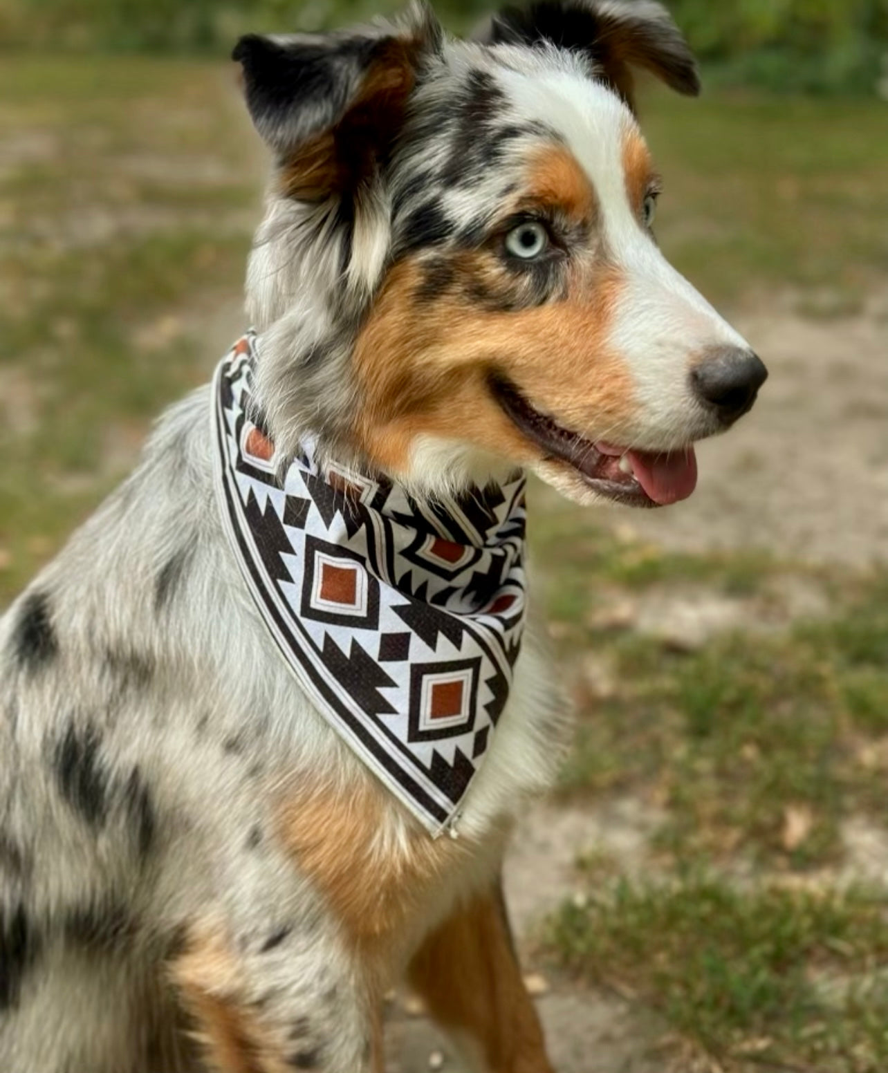 Aztec Dog Bandana